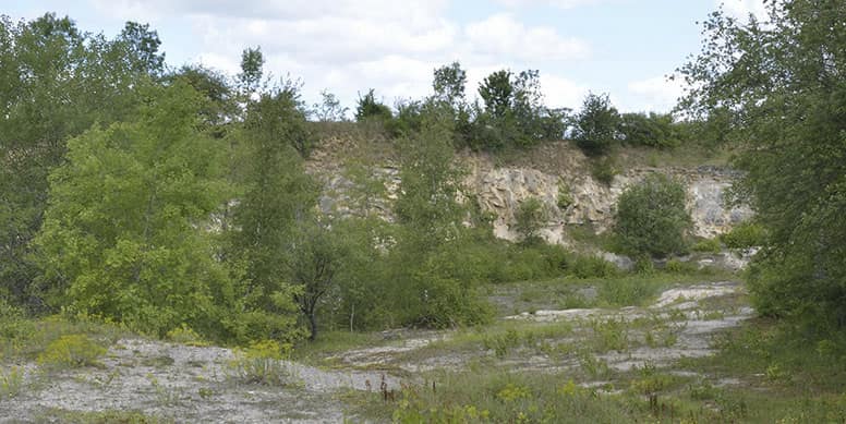 Carrière de Belle-Eau, un site naturel géré par l'Association faune et flore de l'Orne