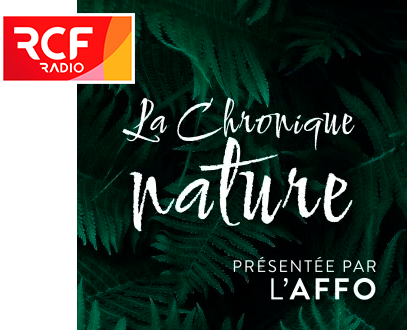 Chronique nature sur RCF